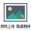 SHZ-28B旋轉(zhuǎn)油浴恒溫振蕩器